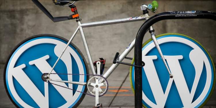 A importância do Web Site