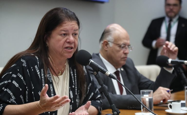 Seminário - Celebração do 30º aniversário do Ano Internacional da Família. Dep. Laura Carneiro (PSD-RJ)