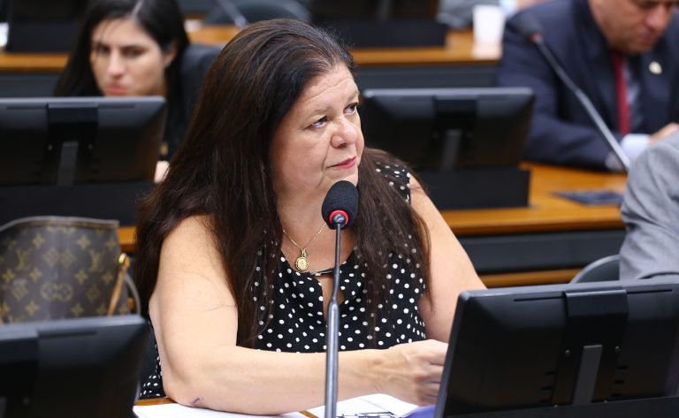 Deputada Laura Carneiro fala ao microfone