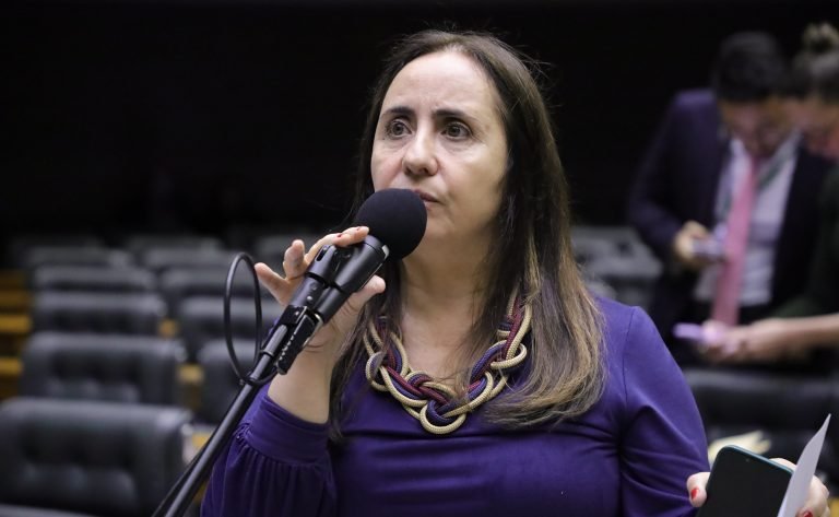 Discussão e votação de propostas legislativas. Dep. Adriana Ventura (NOVO - SP)