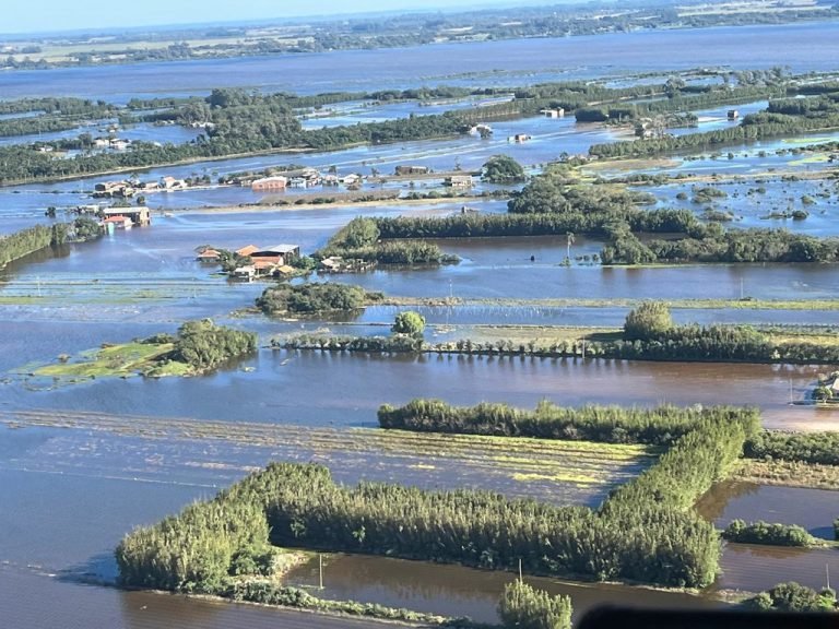 Vista aérea de plantações no Rio Grande do Sul submersas 