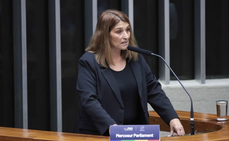 1ª Sessão de Trabalho - 1st Working Session - 1ª Sesión de trabajo. Mercosur Parliament Speaker, Fabiana Martín.