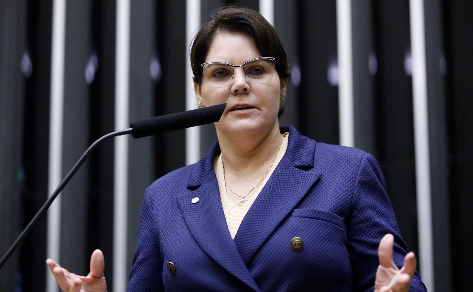 Discussão e votação de propostas legislativas. Dep. Coronel Fernanda (PL-MT) Plenário – Sessão Deliberativa