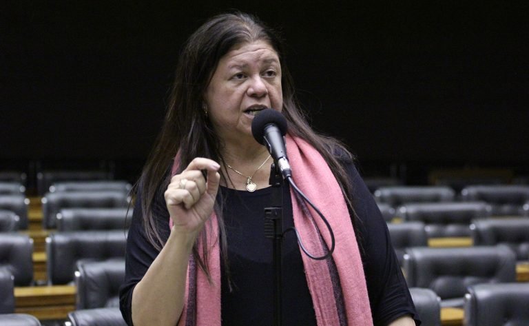 Deputada Laura Carneiro fala ao microfone