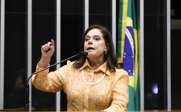 Homenagem ao Dia Internacional da Mulher e da Conquista do Voto Feminino. Dep. Soraya Santos (PL-RJ)