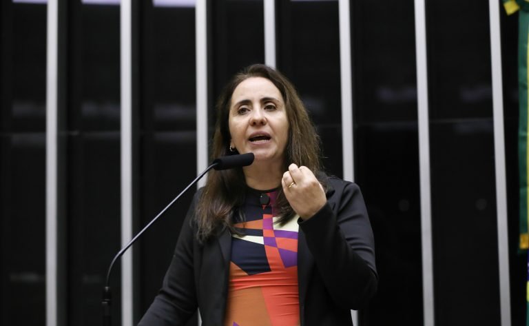 Discussão e votação de propostas legislativas. Dep. Adriana Ventura (NOVO-SP)