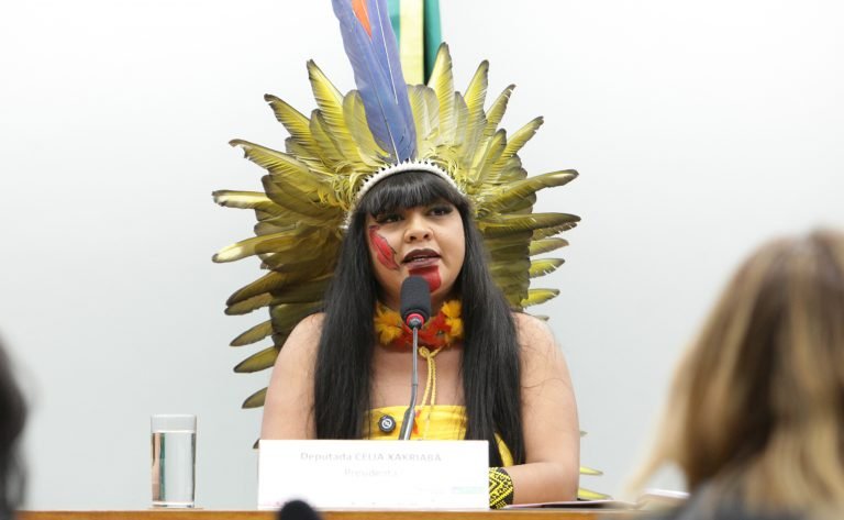 deputada Célia Xakriabá em reunião de comissão