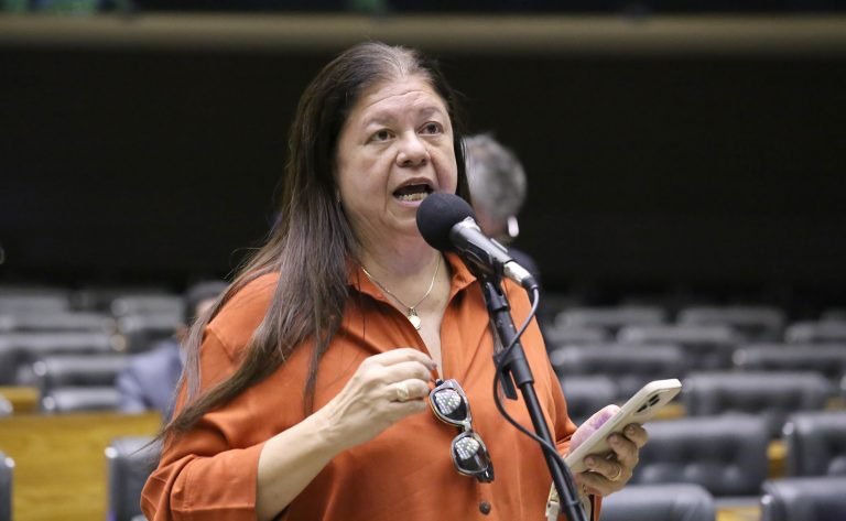 Deputada Laura Carneiro (PSD-RJ) fala no Plenário da Câmara dos Deputados
