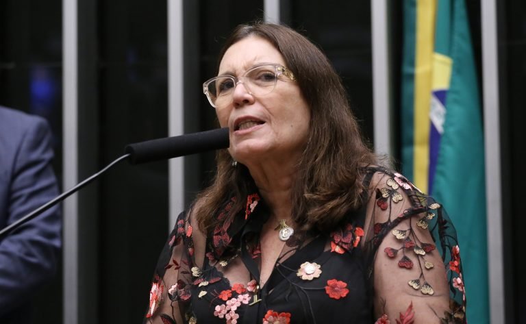 Discussão e votação de propostas legislativas. Dep. Bia Kicis (PL - DF)