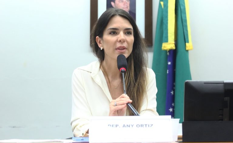 Apresentação do Plano de Trabalho e votação de requerimentos. Dep. Any Ortiz (PP-RS)