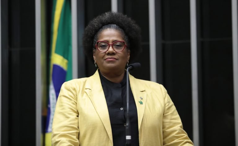 Discussão e votação de propostas. Dep. Reginete Bispo (PT - RS)
