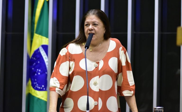 Discussão e votação de propostas. Dep. Laura Carneiro(PSD - RJ)