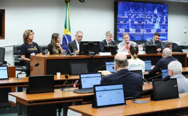 Audiência Pública - Retomada econômica e aspecto privado empresarial do Rio Grande do Sul.