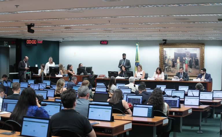 Reunião Deliberativa. Dep. Bia Kicis (PL - DF). Dep. Ricardo Ayres (REPUBLICANOS - TO).  Advogado, Murilo de Oliveira.
