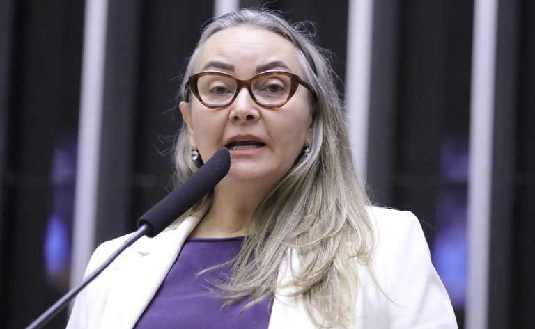 Homenagem aos Duzentos Anos de Presença Luterana no Brasil. Dep. Daniela Reinehr (PL - SC)