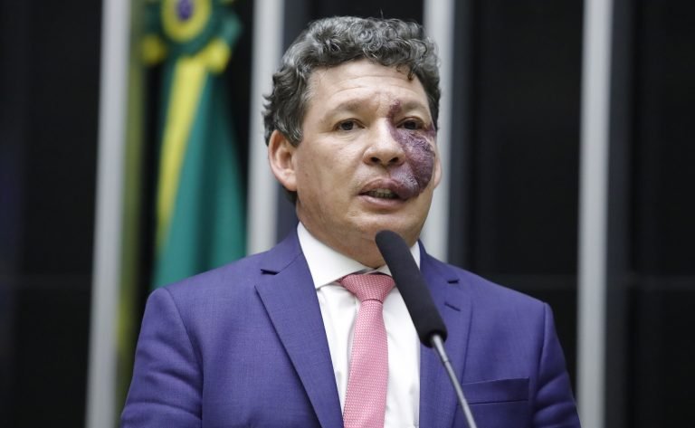 Discussão e votação de propostas legislativas. Dep. Reginaldo Lopes (PT-MG)