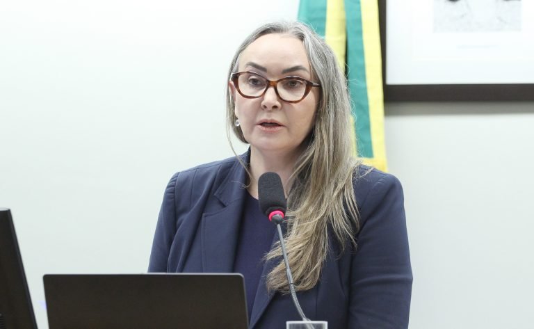 Deputada Daniela Reinehr fala ao microfone