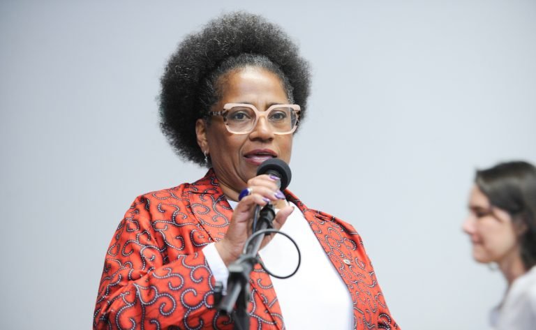 Seminário - Prevenção da Violência Política de Gênero e Raça. Dep. Reginete Bispo (PT-RS)
