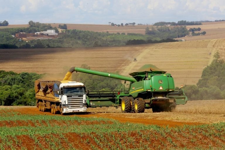 Agropecuária - plantações - soja grãos agricultura fazendas rurais campo produção máquinas agrícolas exportações PIB comércio exterior (colheita da safra 2020 de soja no Paraná)