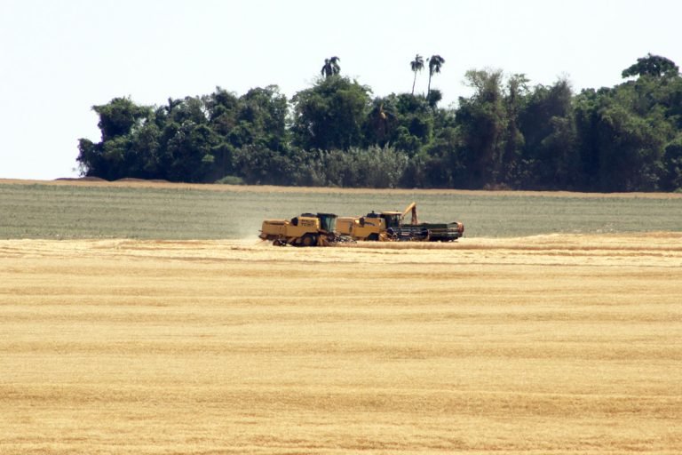 Agropecuária - plantações - lavouras tratores grãos produção agrícola código florestal meio ambiente preservação ambiental reserva legal área de proteção permanente