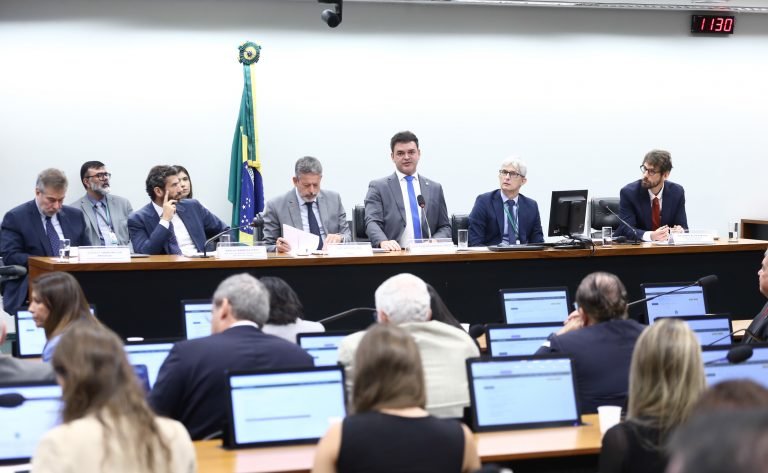 Audiência Pública - Os possíveis efeitos da proposta.