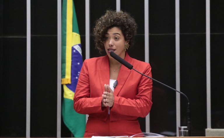 Discussão e Votação de Propostas Legislativas. Dep. Talíria Petrone (PSOL - RJ)