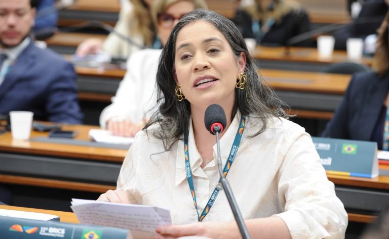 1ª Sessão de trabalho da Reunião de Mulheres Parlamentares do BRICS - 1st Working session of Meeting of BRICS Women Parliamentarians. Dep. Iza Arruda (MDB - PE)