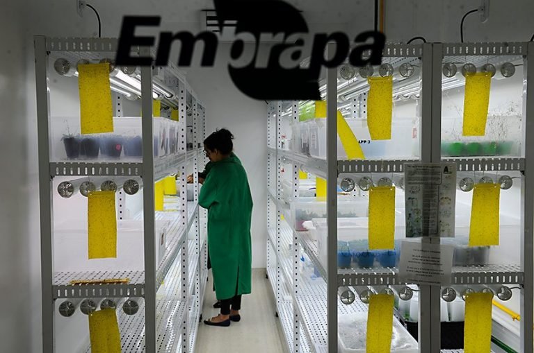 Embrapa