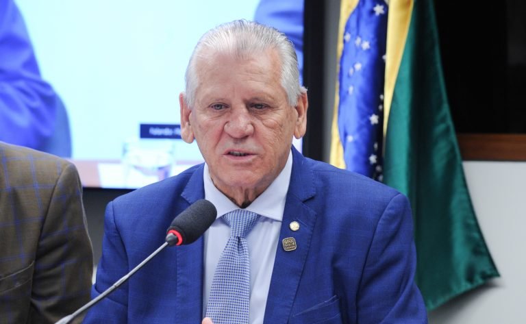 Audiência Pública - Projeto de Lei n° 2298/2024, que concede ao Município de Toledo o título de Capital Nacional da Proteína Animal. Dep. Dilceu Sperafico (PP-PR).