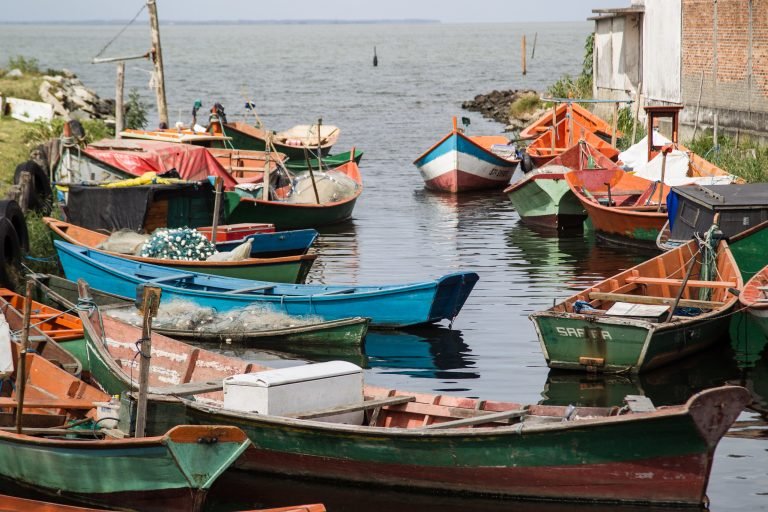 Vários barcos de pescadores