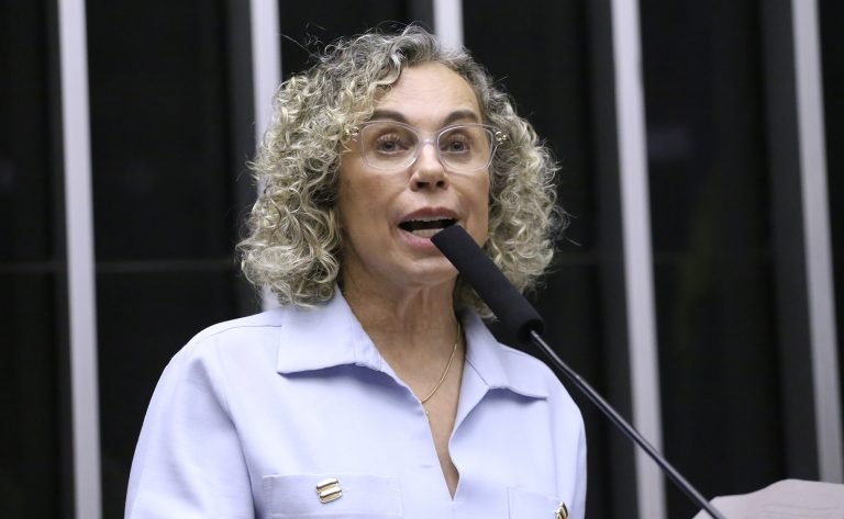 Deputada Ana Paula Lima (PT-SC) fala no Plenário da Câmara dos Deputados