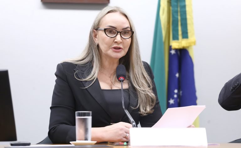 Reunião de Instalação e Eleição. Dep. Daniela Reinehr (PL - SC)