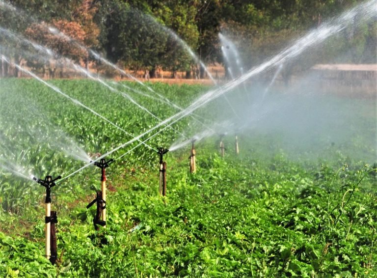 Agropecuária - plantações - irrigação - O canal de água que abastece a produção local possui 9 quilômetros e é o segundo mais extenso do Distrito Federal