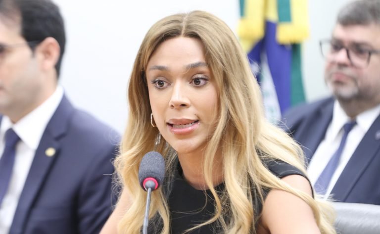 Deputada Erika Hilton (Psol-SP) fala em comissão da Câmara dos Deputados