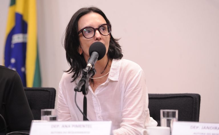 Audiência Pública - Comemoração do Dia Mundial da Saúde. Dep. Ana Pimentel (PT - MG)