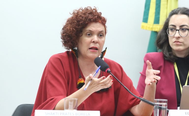 Audiência Pública - Crescimento dos registros de trabalho escravo no Brasil. Coordenadora-geral de Fiscalização para Erradicação do Trabalho Análogo ao de Escravizado e Tráfico de Pessoas, Shakti Prates.