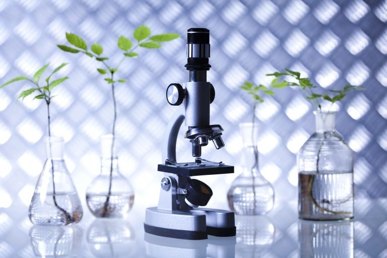 Plantas em vasos de vidro com água e um microscópio em cima de uma mesa