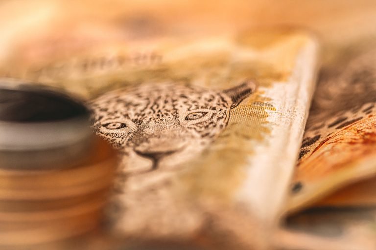 Economia - Dinheiro - cédulas e moedas de real - bancos - consumidor - orçamento - inflação - notas de dinheiro