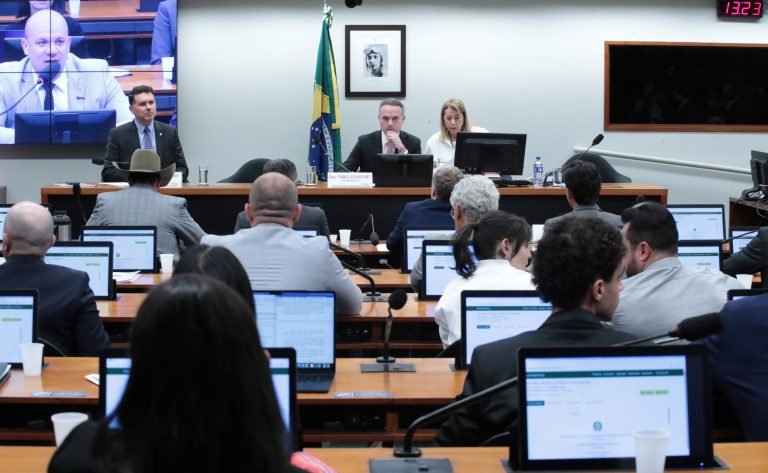 Apreciação de pareceres. Dep. Fabio Schiochet (UNIÃO-SC)