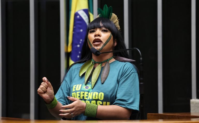 Discussão e votação de propostas legislativas. Dep. Célia Xakriabá (PSOL - MG)