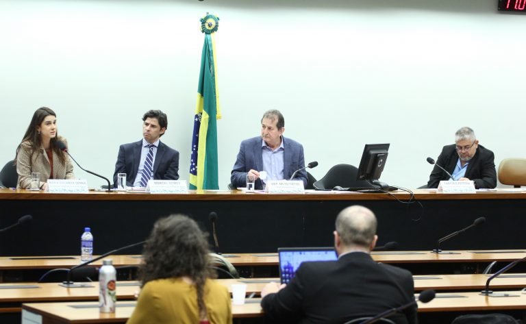 Seminário: Desmatamento e outros crimes ambientais relacionados com atividades do agronegócio fomentadas por fundos de investimento.
