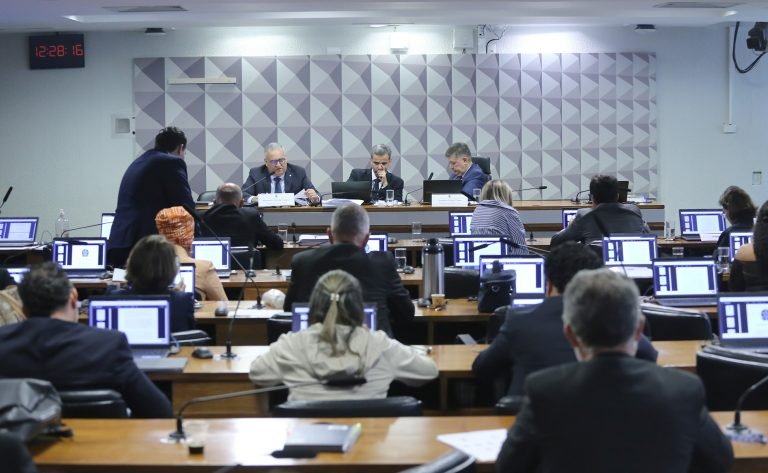 Leitura do relatório final. Dep. Alfredo Gaspar (UNIÃO - AL) e Senador, Carlos Viana (PODE - MG)